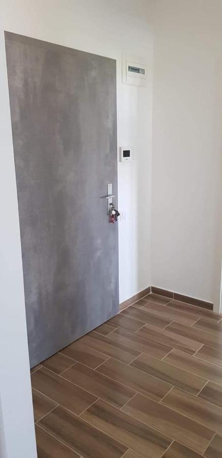 布拉索夫Apartament Modern Ioan Popasu公寓 外观 照片