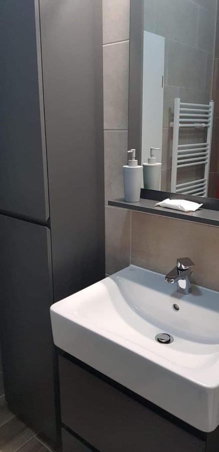 布拉索夫Apartament Modern Ioan Popasu公寓 外观 照片